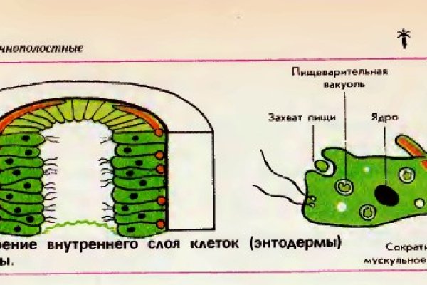 Кракен ссылка v5tor cfd